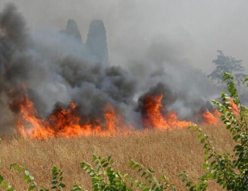 Palermo: pompieri e forestali sotto stress per sedare incendi.