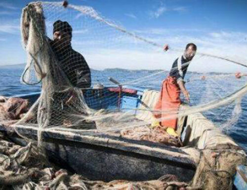 Sicilia: Pesca, promozione prodotti ittici. Scilla: «500 mila euro per aiutare il settore»